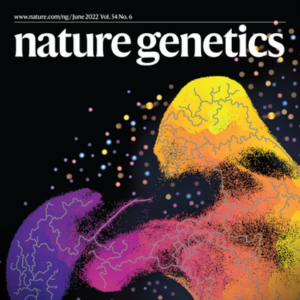 Nature Genetics cover image of a UMAP of the T cells